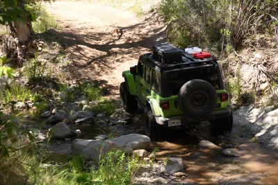 DSC_5909 (Large).JPG